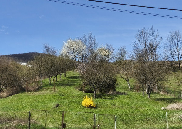 pozemok pre stavbu RD v obci Kravany - 1949 m2